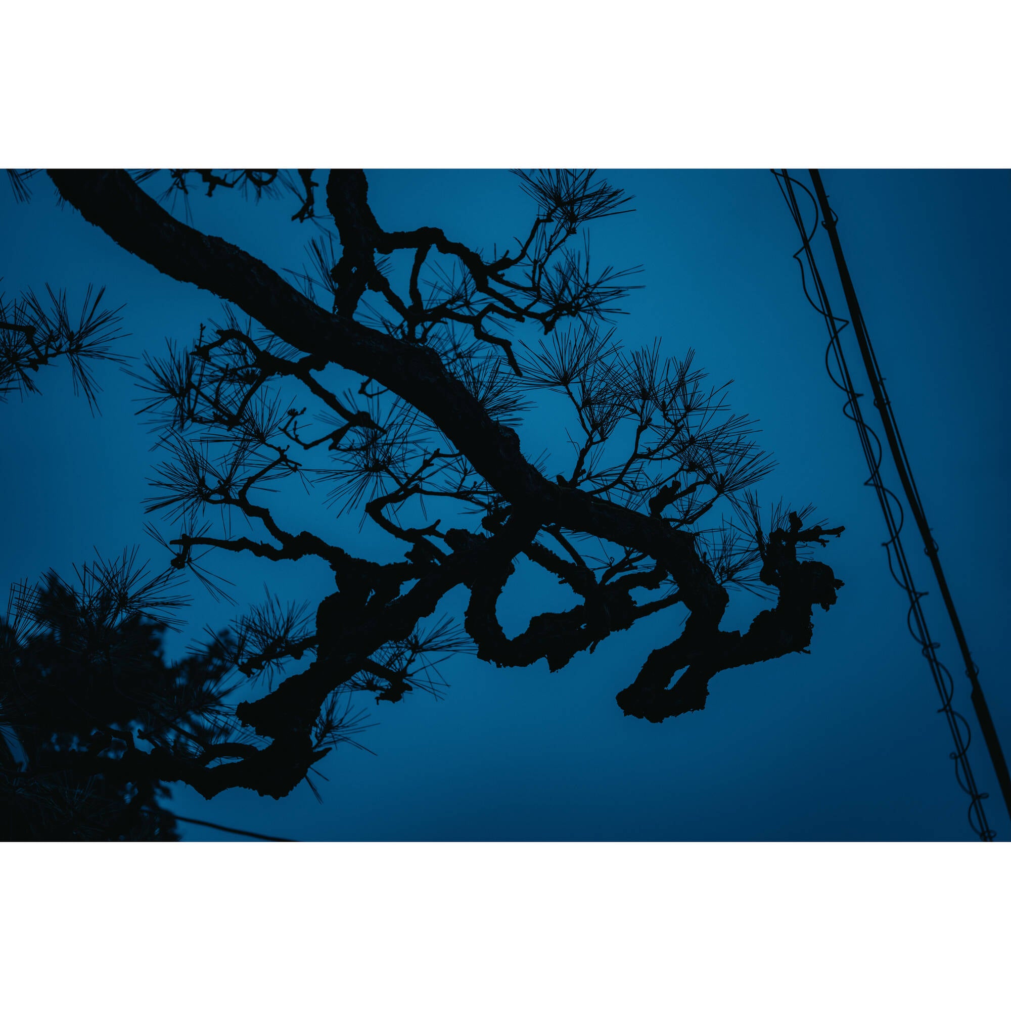 Sigma 17-40 mm f / 1,8 dc art Objectif (Sony E)