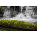 Sigma 28-105MM F2.8 DG DN (L-Mount)