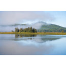 Sigma 28-105MM F2.8 DG DN (L-Mount)