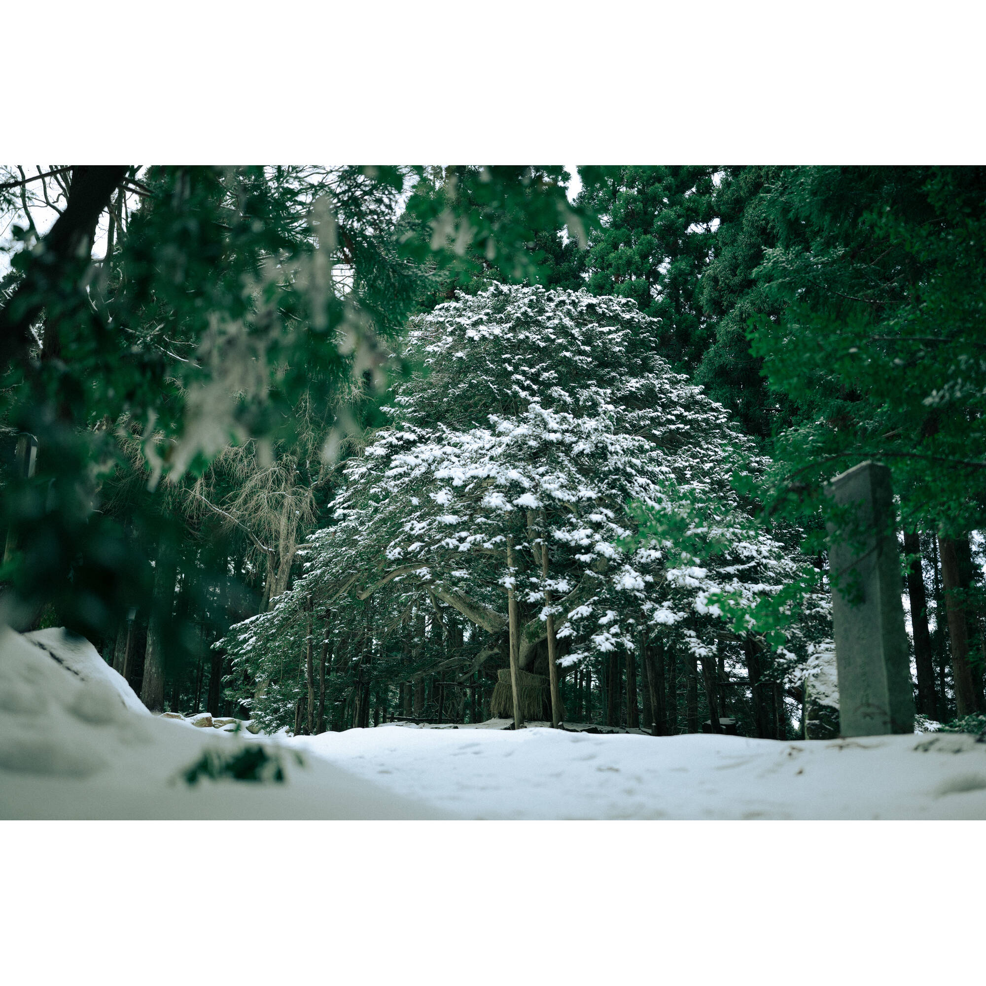 Sigma 35mm f/1.2 DG II Art Lens (L-Mount)