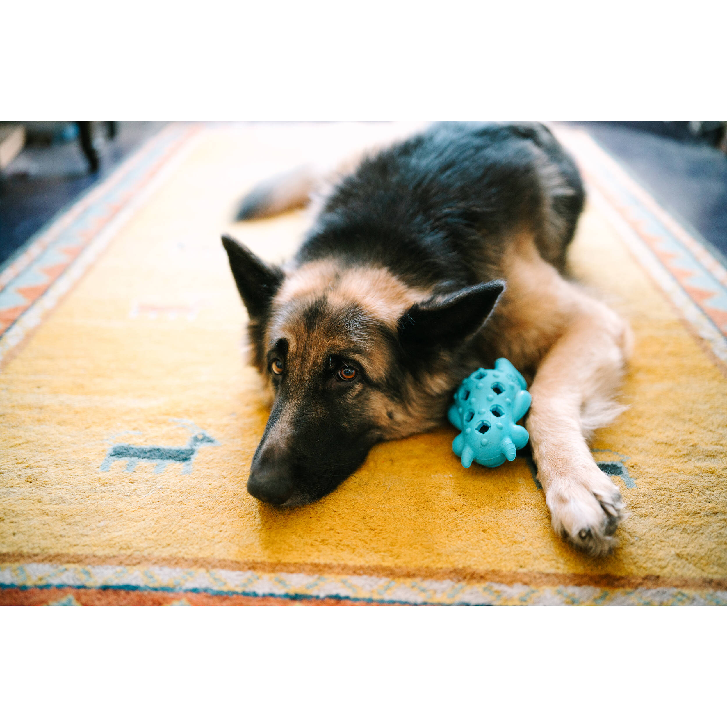 Sigma 35mm f/1.2 DG II Art Lens (Sony E)