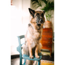 Sigma 35mm f/1.2 DG II Art Lens (Sony E)