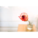 Sigma 35mm f/1.2 DG II Art Lens (Sony E)