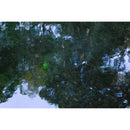 Sigma 35mm f/1.4 DG II Art Lens (L-Mount)