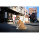 Sigma 35mm f/1.4 DG II Art Lens (Sony E)