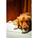 7artisans Photoelectric 50mm f/1.8 AF Lens (Nikon Z)