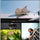 7artisans AF24mm F1.8 sans miroir Objectif Pour Panasonic/Leica/Sigma (monture L)