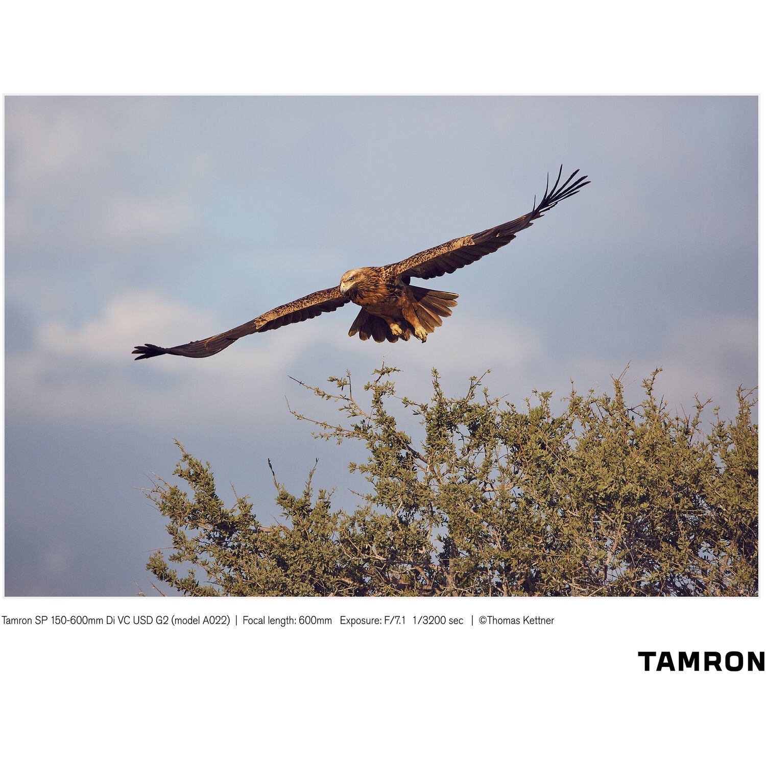 Tamron SP 150-600mm f/5-6.3 Di VC USD G2 for Canon EF