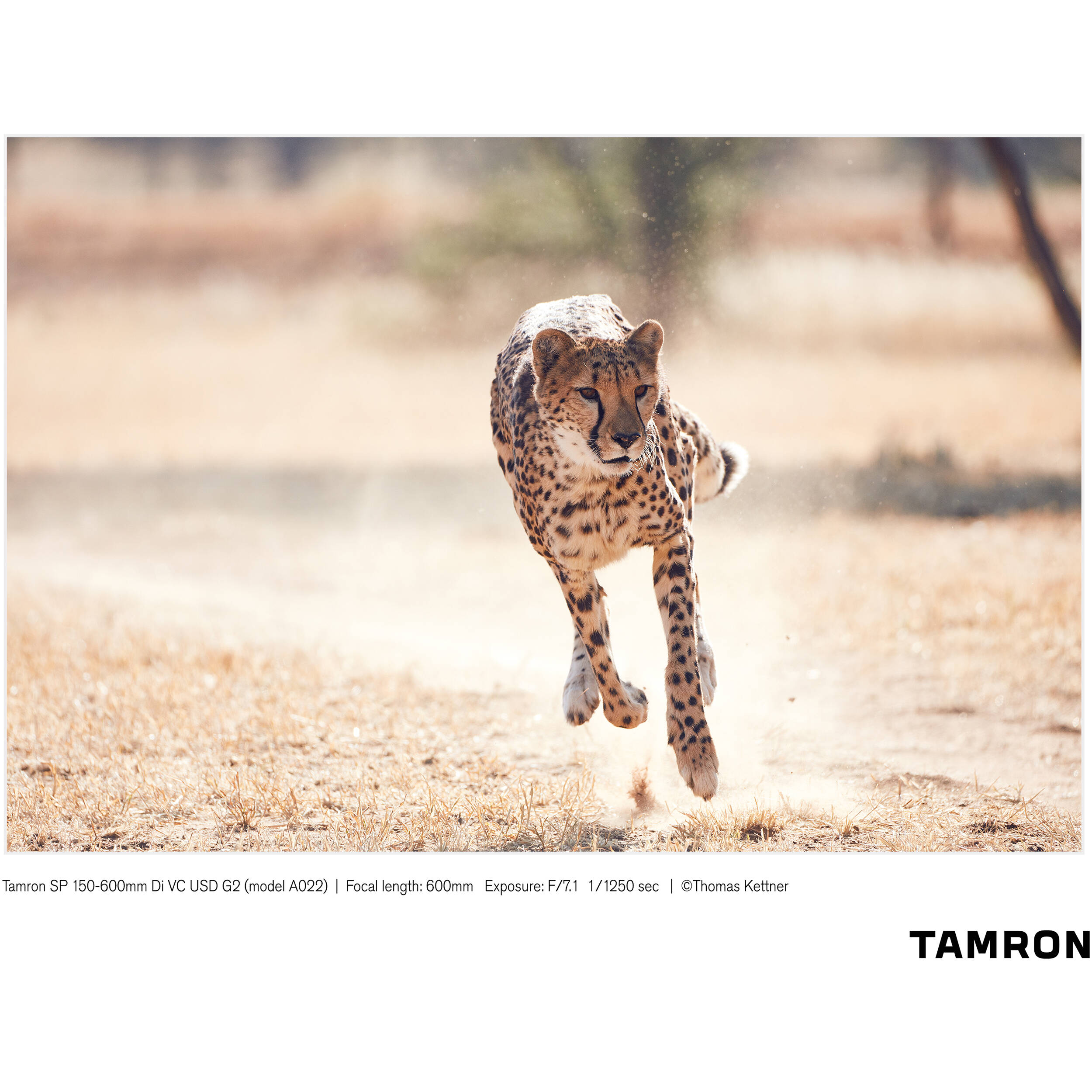 Tamron SP 150-600mm f/5-6.3 Di VC USD G2 for Canon EF