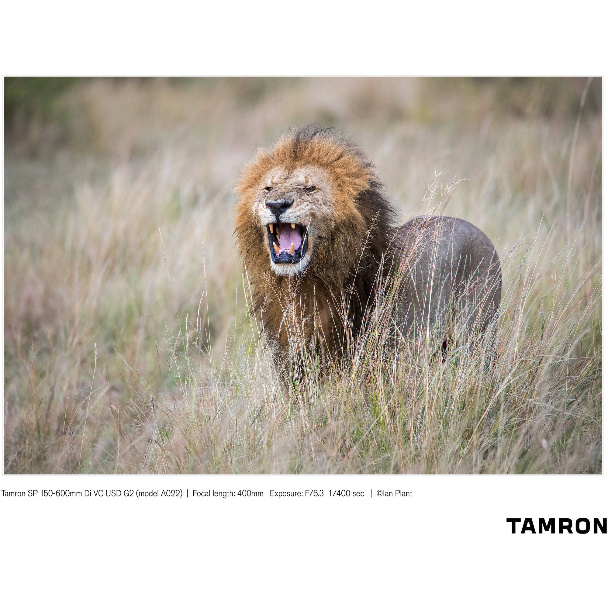 Tamron SP 150-600mm f/5-6.3 Di VC USD G2 for Canon EF
