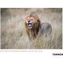 Tamron SP 150-600mm f/5-6.3 Di VC USD G2 for Canon EF
