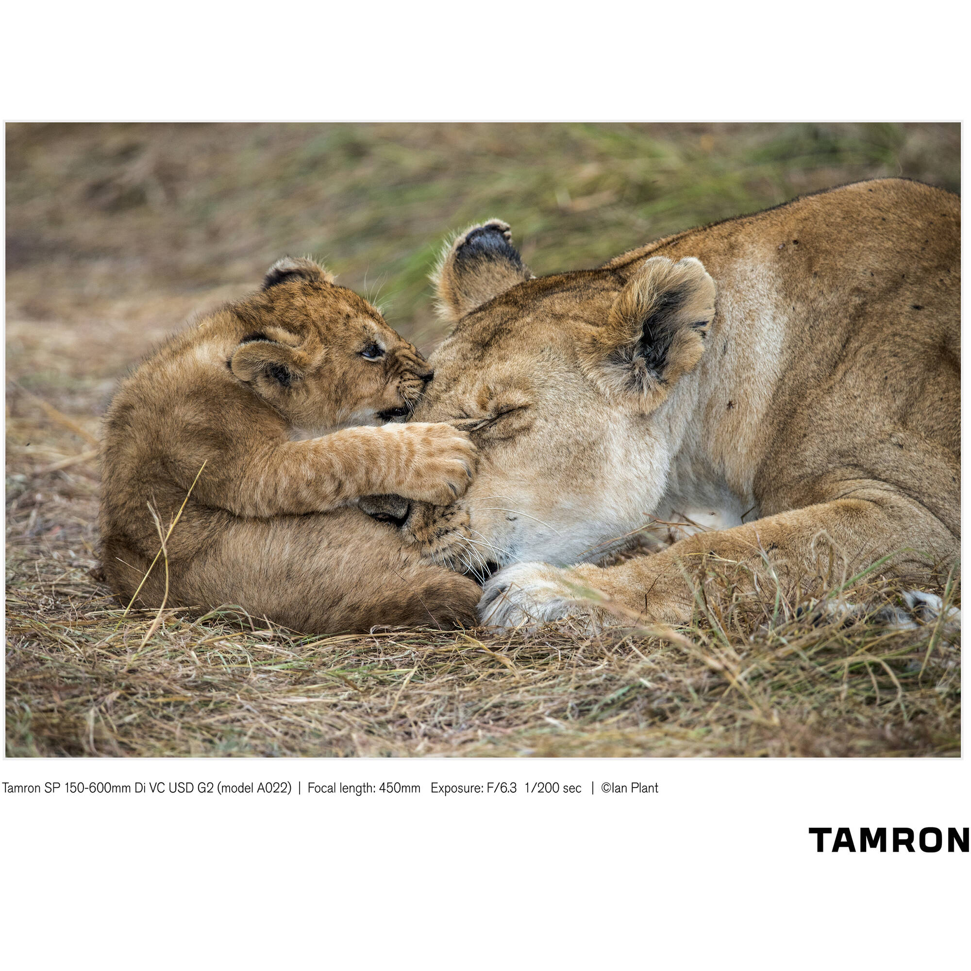 Tamron SP 150-600mm f/5-6.3 Di VC USD G2 for Canon EF