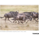 Tamron SP 150-600mm f/5-6.3 Di VC USD G2 for Canon EF