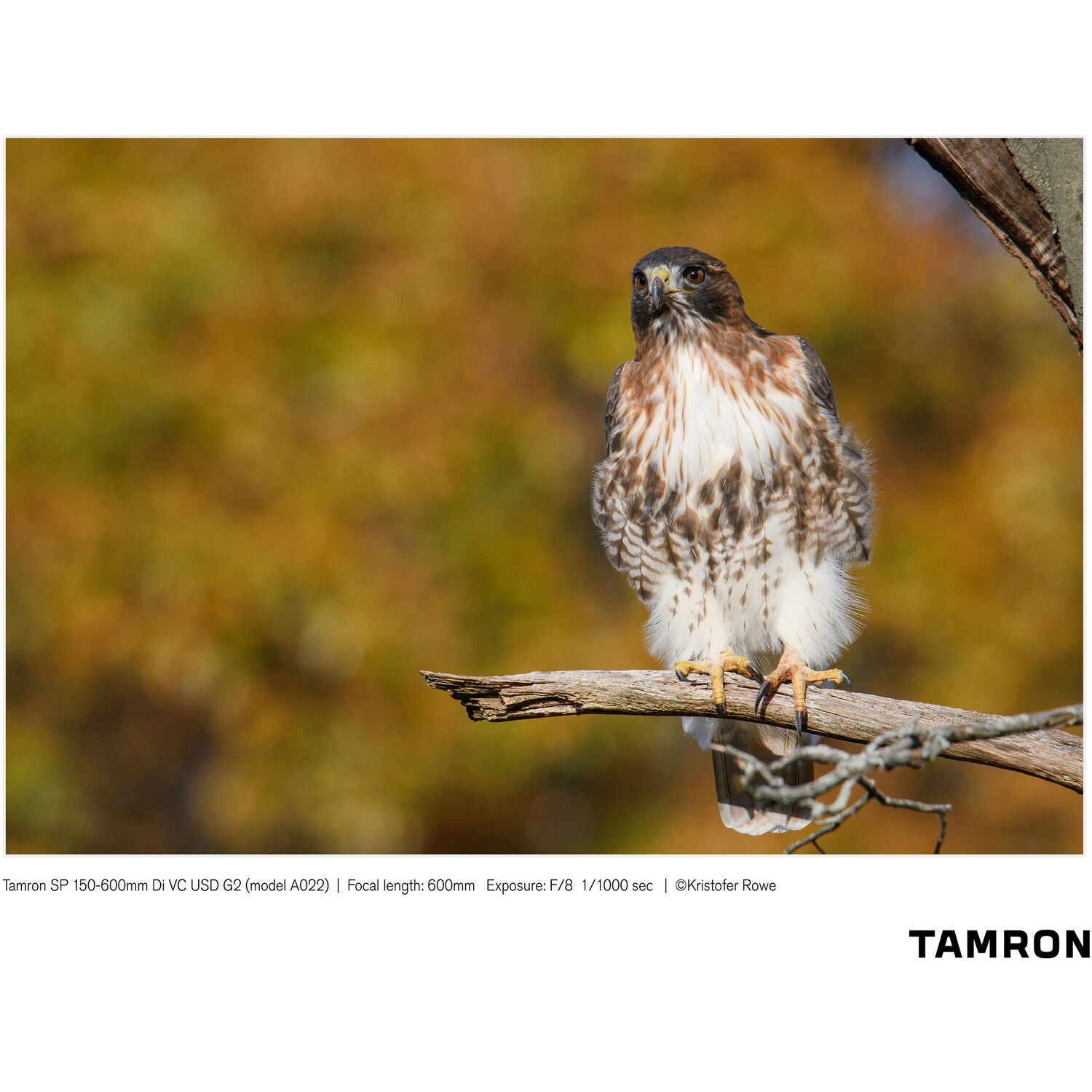 Tamron SP 150-600mm f/5-6.3 Di VC USD G2 for Canon EF