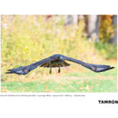 Tamron SP 150-600mm f/5-6.3 Di VC USD G2 for Canon EF