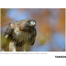 Tamron SP 150-600mm f/5-6.3 Di VC USD G2 for Canon EF