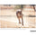 Tamron SP 150-600mm f/5-6.3 Di VC USD G2 for Nikon F