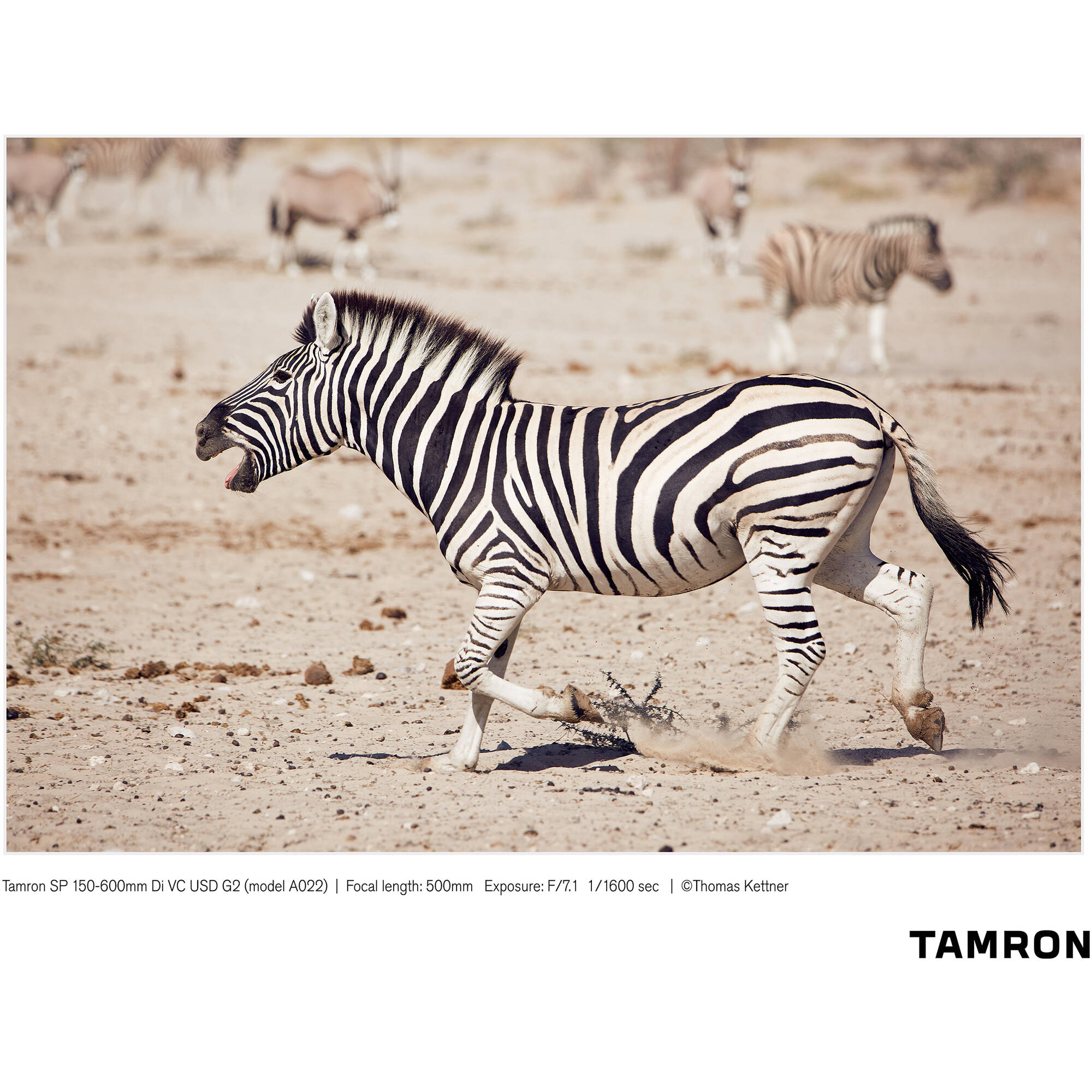 Tamron SP 150-600mm f/5-6.3 Di VC USD G2 for Nikon F