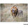 Tamron SP 150-600mm f/5-6.3 Di VC USD G2 for Nikon F
