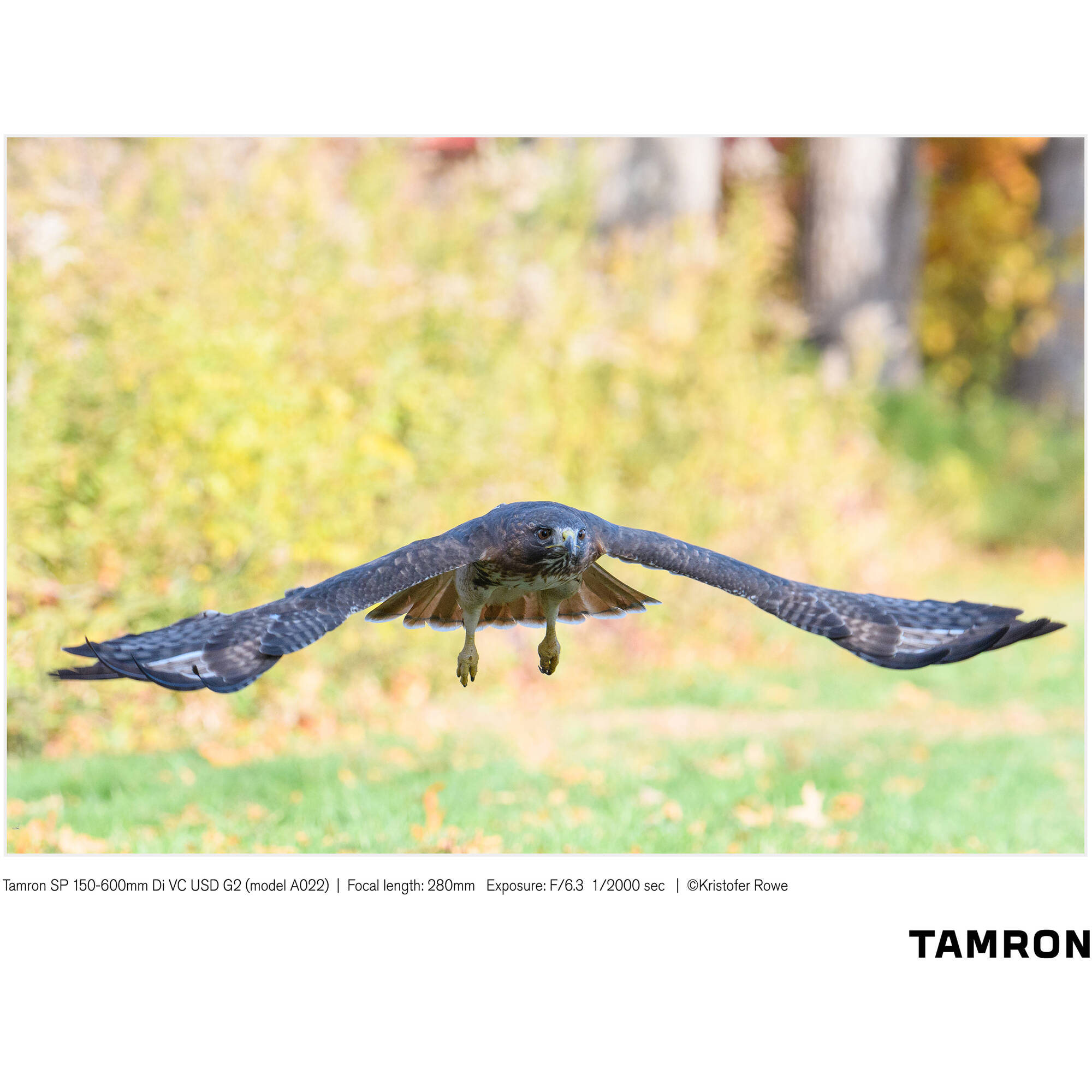 Tamron SP 150-600mm f/5-6.3 Di VC USD G2 for Nikon F