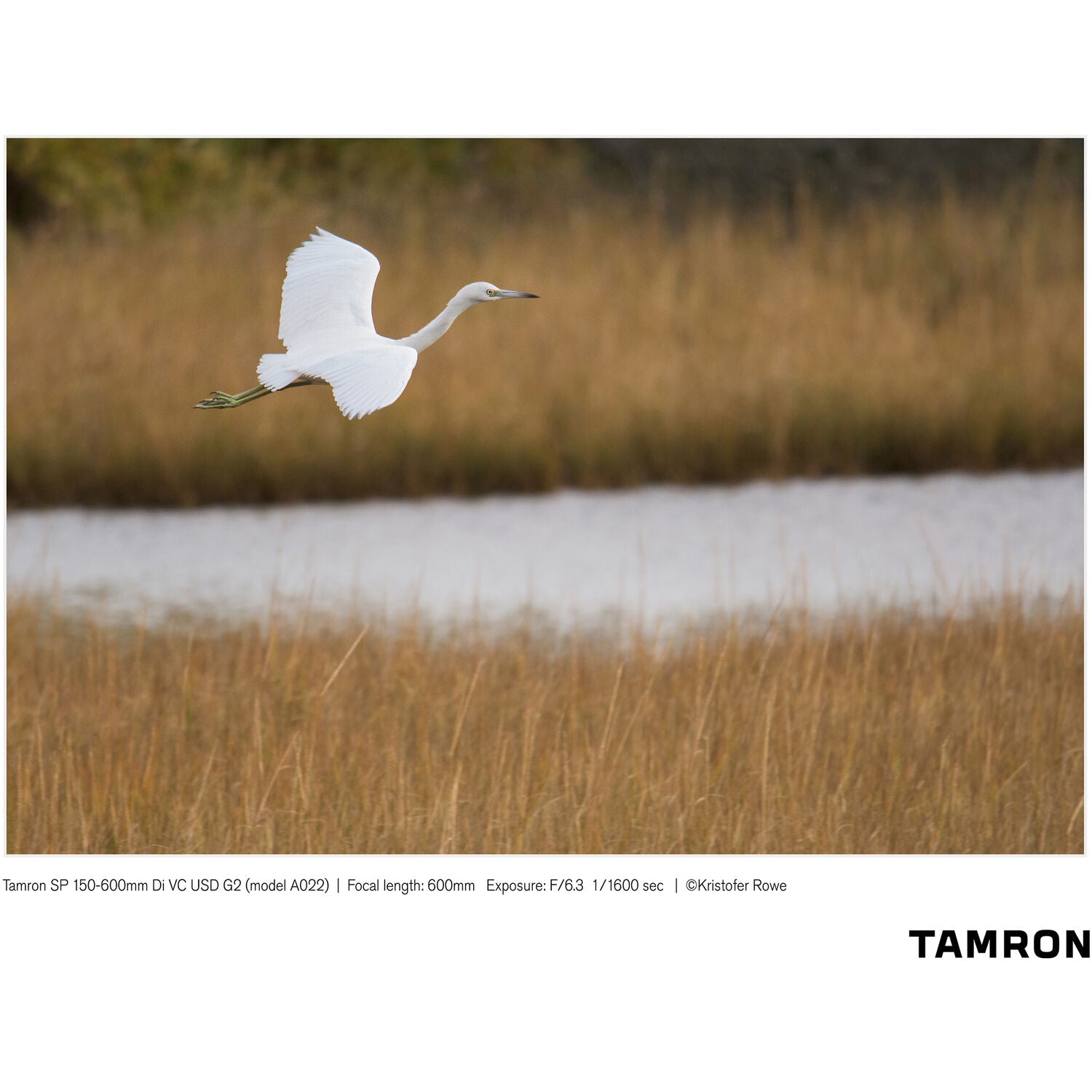 Tamron SP 150-600mm f/5-6.3 Di VC USD G2 for Nikon F