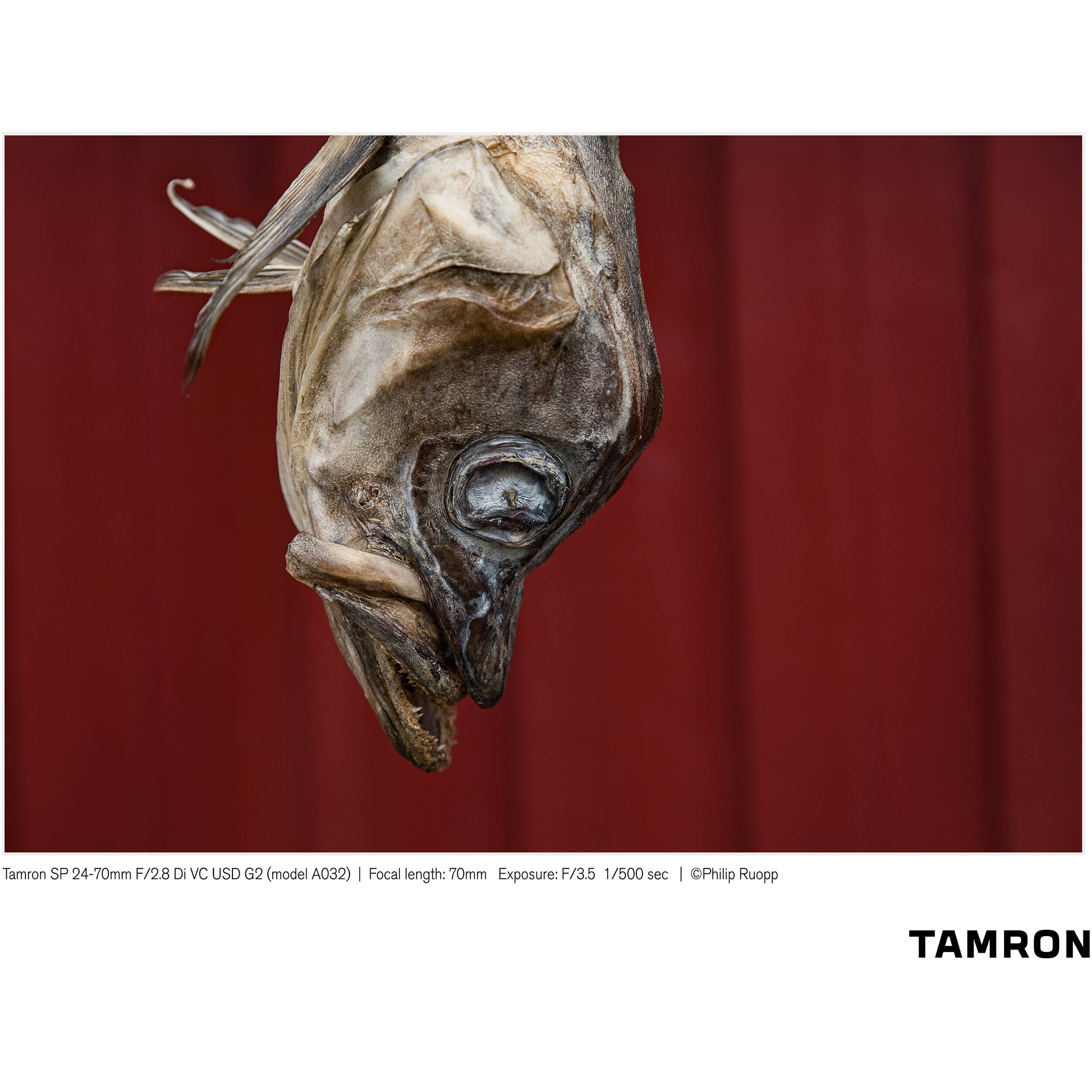 Tamron SP 24-70 mm f/2,8 Di VC USD G2 Objectif pour Canon EF