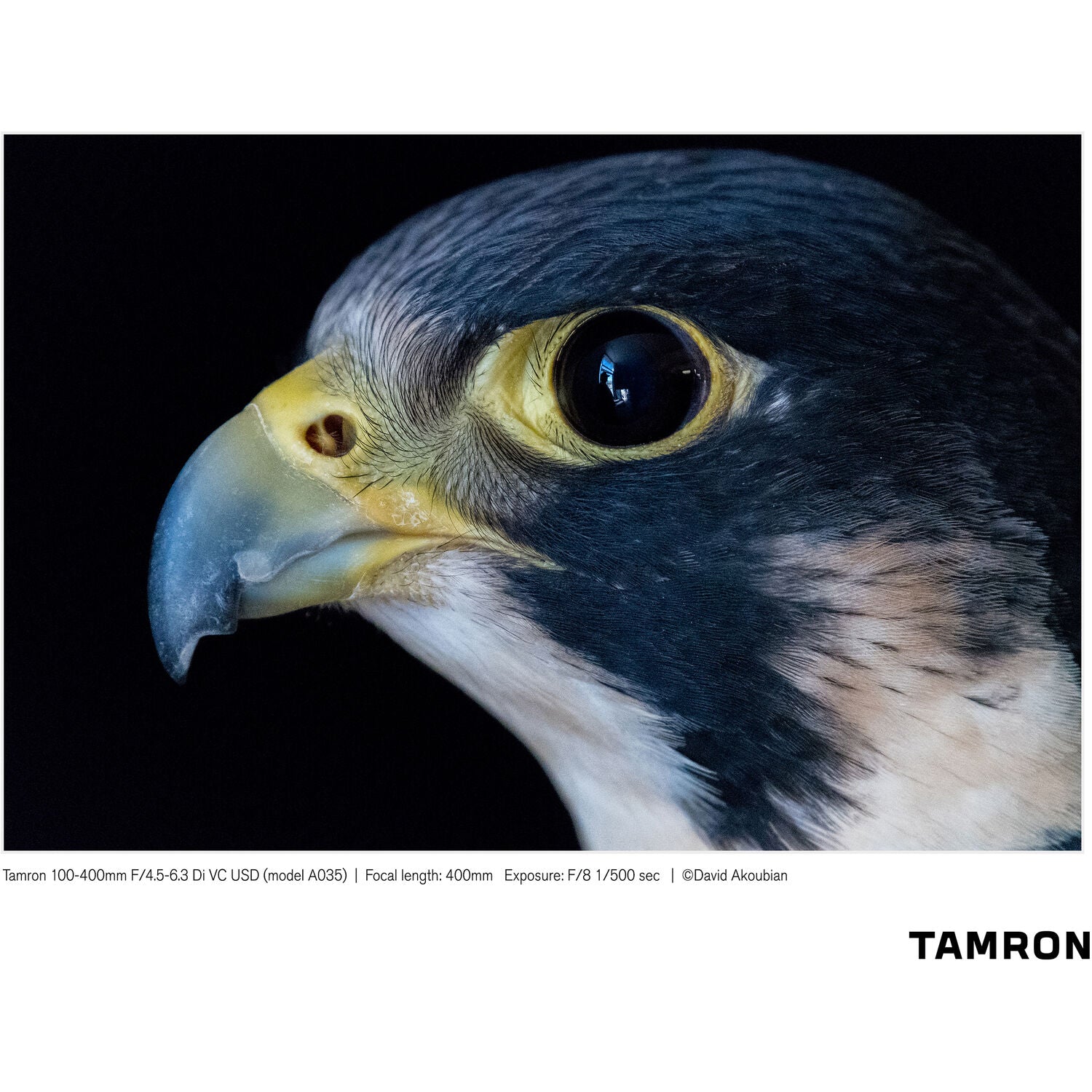 Tamron 100-400mm f/4.5-6.3 Di VC USD Lens for Nikon F