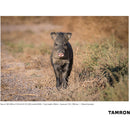Tamron 100-400mm f/4.5-6.3 Di VC USD Lens for Nikon F