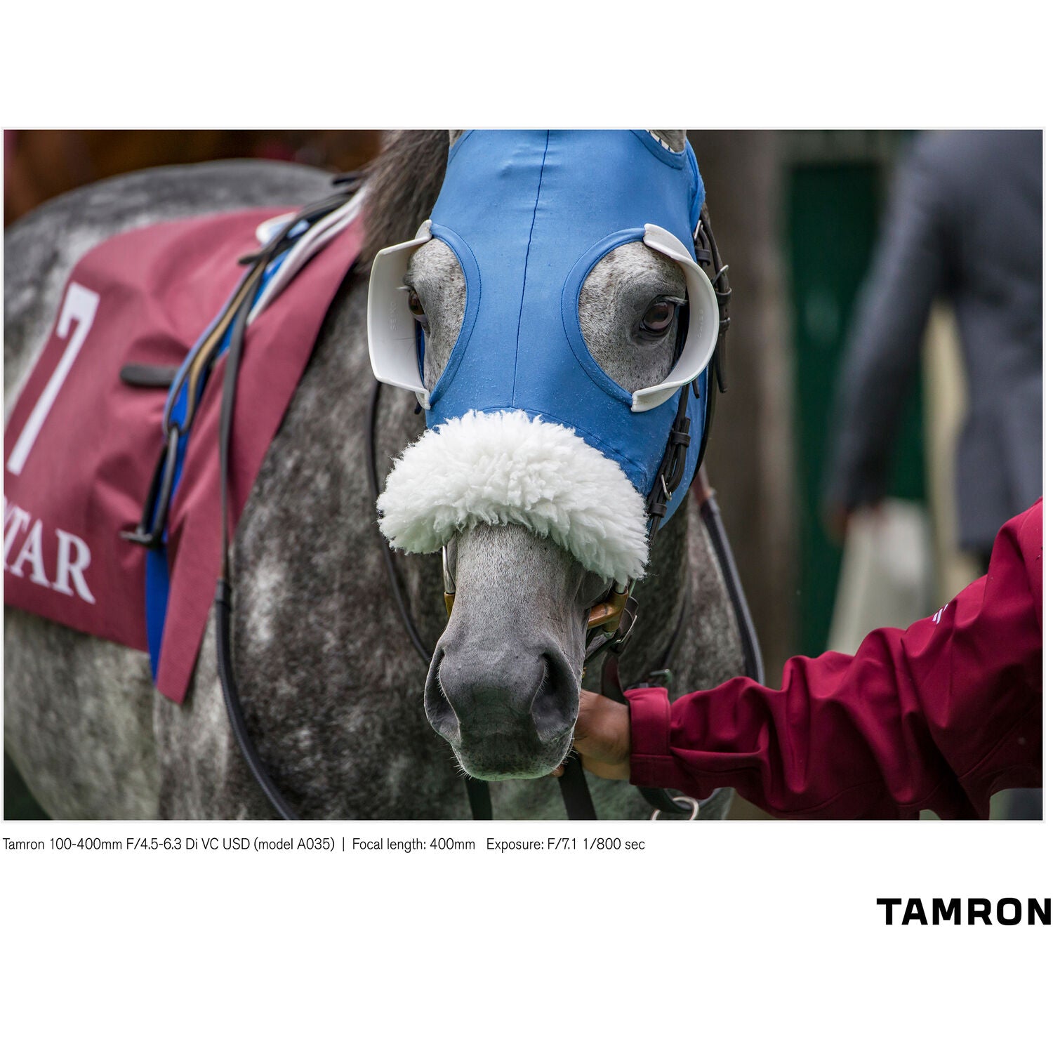 Tamron 100-400mm f/4.5-6.3 Di VC USD Lens for Nikon F