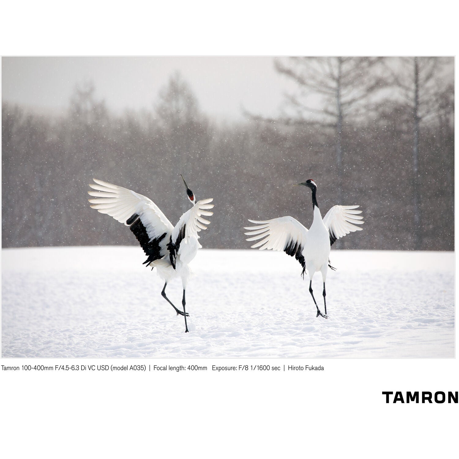 Tamron 100-400mm f/4.5-6.3 Di VC USD Lens for Nikon F