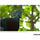 Tamron 100-400mm f/4.5-6.3 Di VC USD Lens for Nikon F