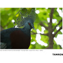 Tamron 100-400mm f/4.5-6.3 Di VC USD Lens for Nikon F