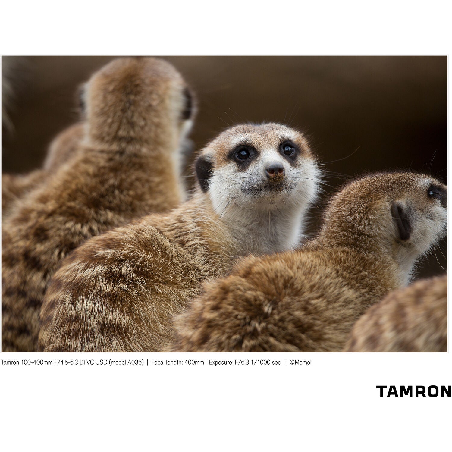 Tamron 100-400mm f/4.5-6.3 Di VC USD Lens for Nikon F