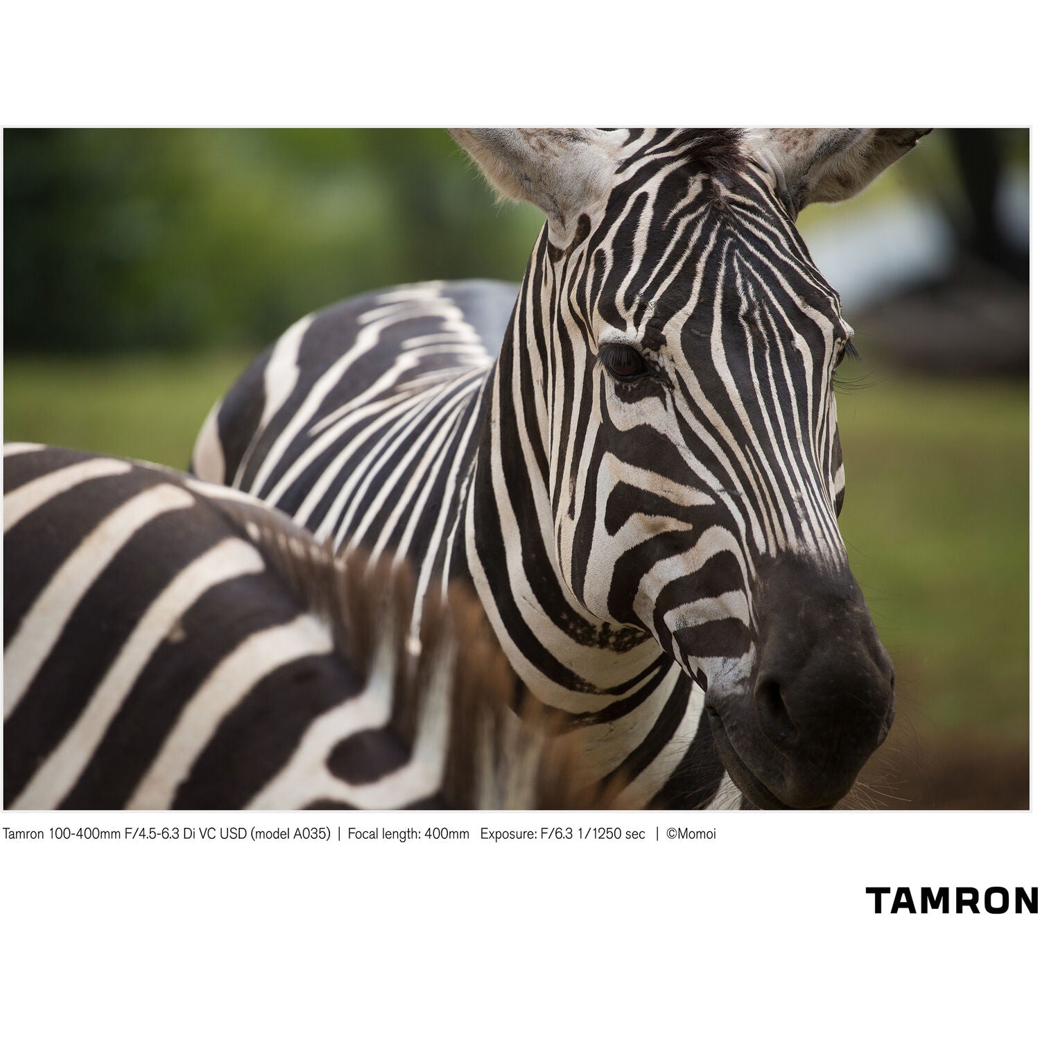 Tamron 100-400mm f/4.5-6.3 Di VC USD Lens for Nikon F