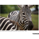 Tamron 100-400mm f/4.5-6.3 Di VC USD Lens for Nikon F