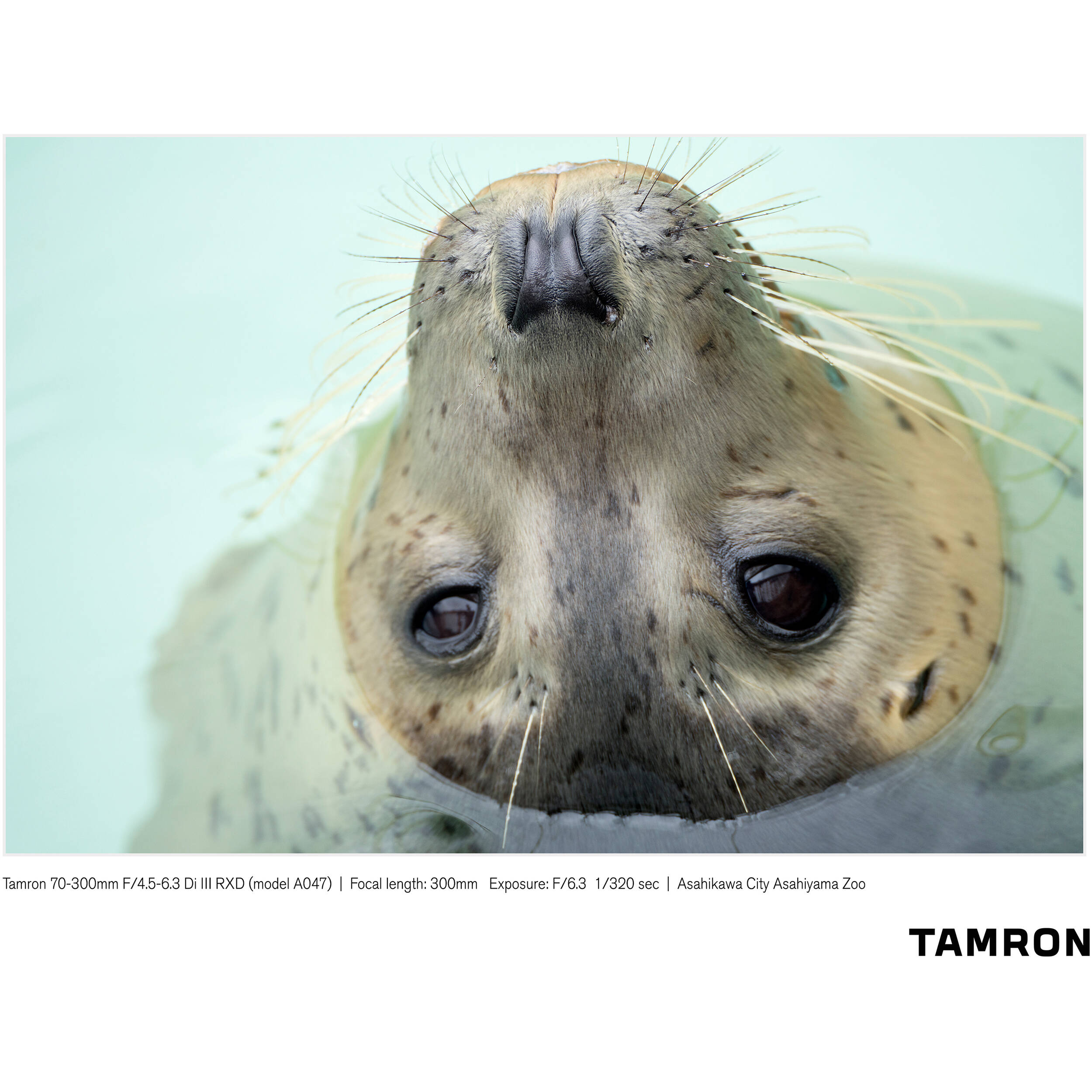 Tamron 70-300mm f/4.5-6.3 Di III RXD Objectif pour Sony E