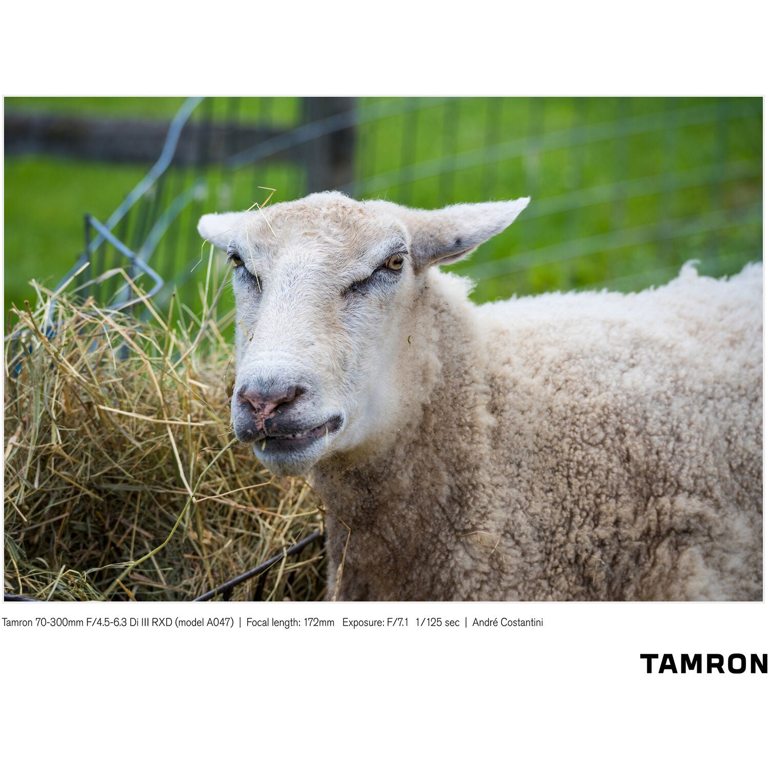 Tamron 70-300mm f/4.5-6.3 Di III RXD Objectif pour Sony E