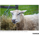 Tamron 70-300mm f/4.5-6.3 Di III RXD Objectif pour Sony E