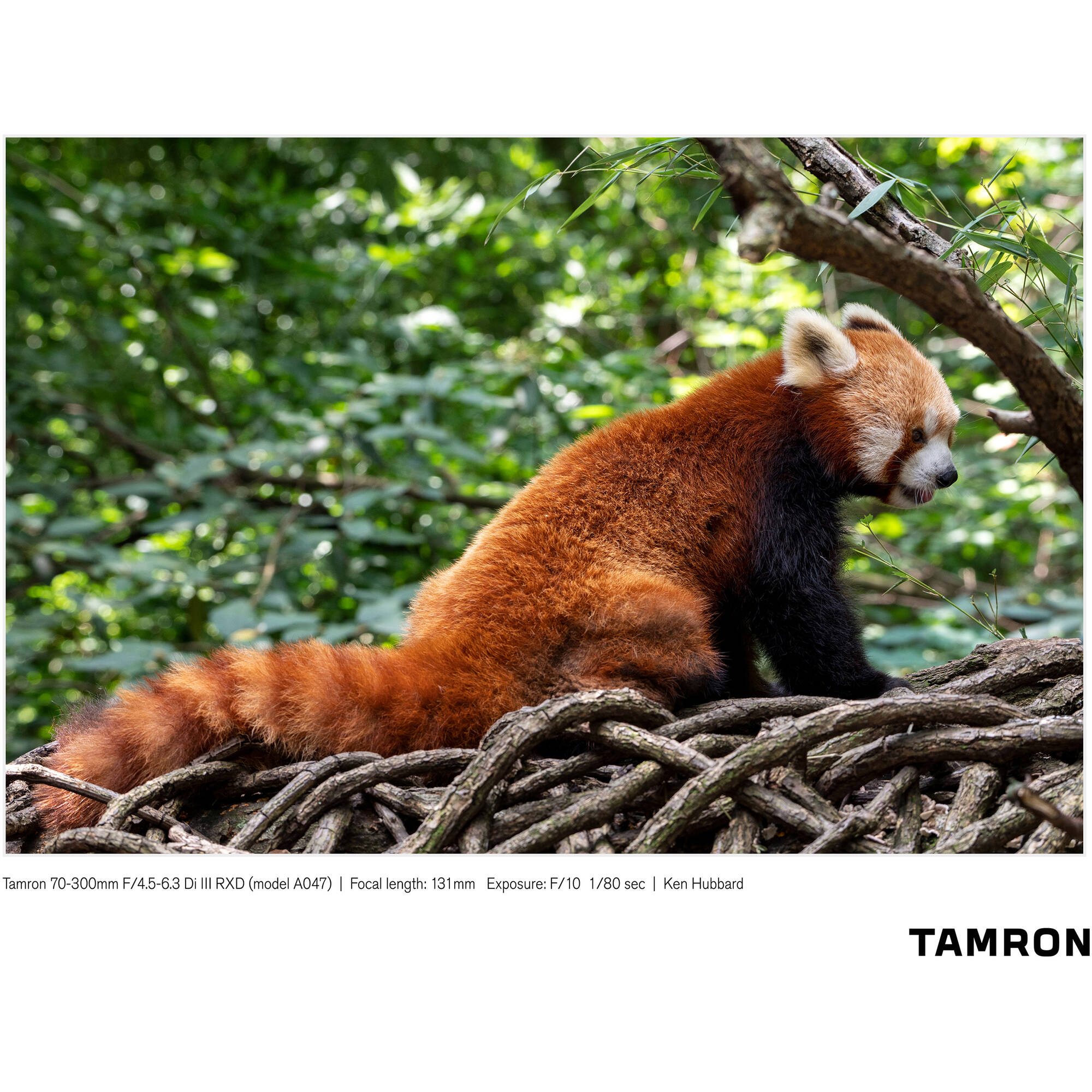 Tamron 70-300mm f/4.5-6.3 Di III RXD Objectif pour Sony E