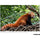 Tamron 70-300mm f/4.5-6.3 Di III RXD Objectif pour Sony E