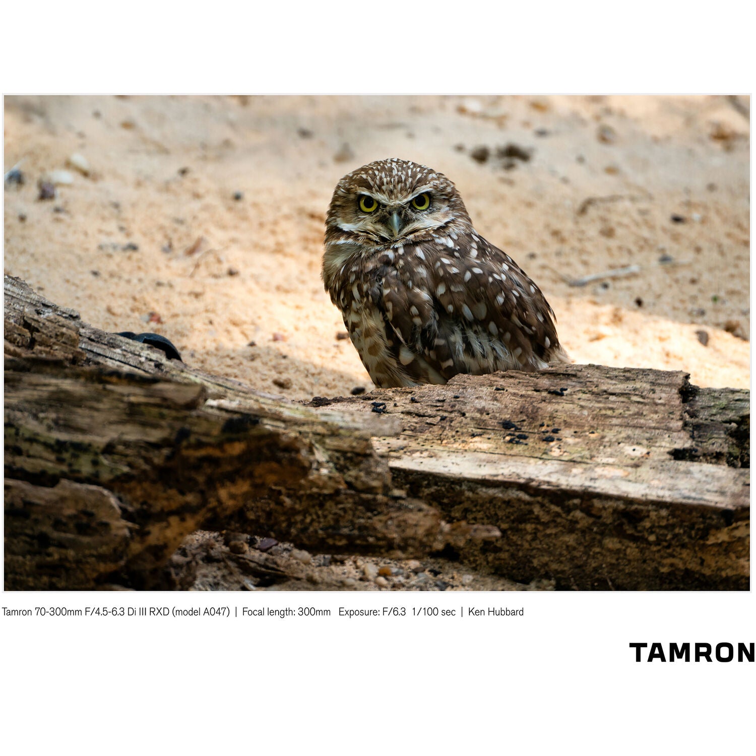 Tamron 70-300mm f/4.5-6.3 Di III RXD Objectif pour Sony E