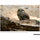 Tamron 70-300mm f/4.5-6.3 Di III RXD Objectif pour Sony E