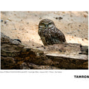 Tamron 70-300mm f/4.5-6.3 Di III RXD Objectif pour Sony E