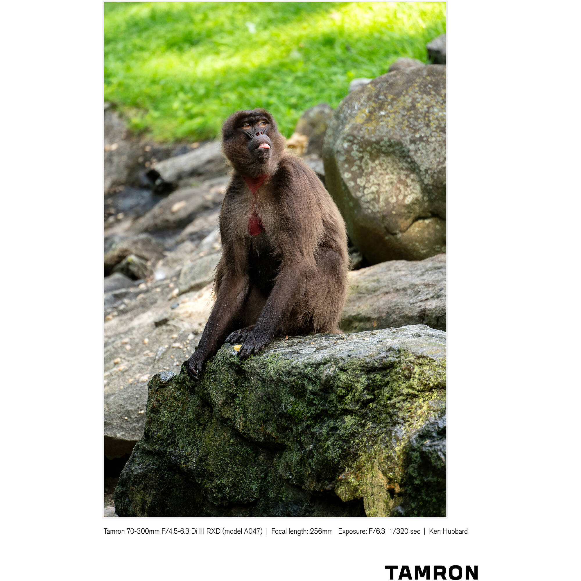 Tamron 70-300mm f/4.5-6.3 Di III RXD Objectif pour Sony E