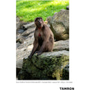 Tamron 70-300mm f/4.5-6.3 Di III RXD Objectif pour Sony E