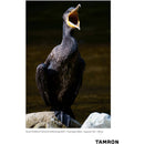 Tamron 70-300mm f/4.5-6.3 Di III RXD Objectif pour Sony E