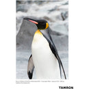 Tamron 70-300mm f/4.5-6.3 Di III RXD Objectif pour Sony E