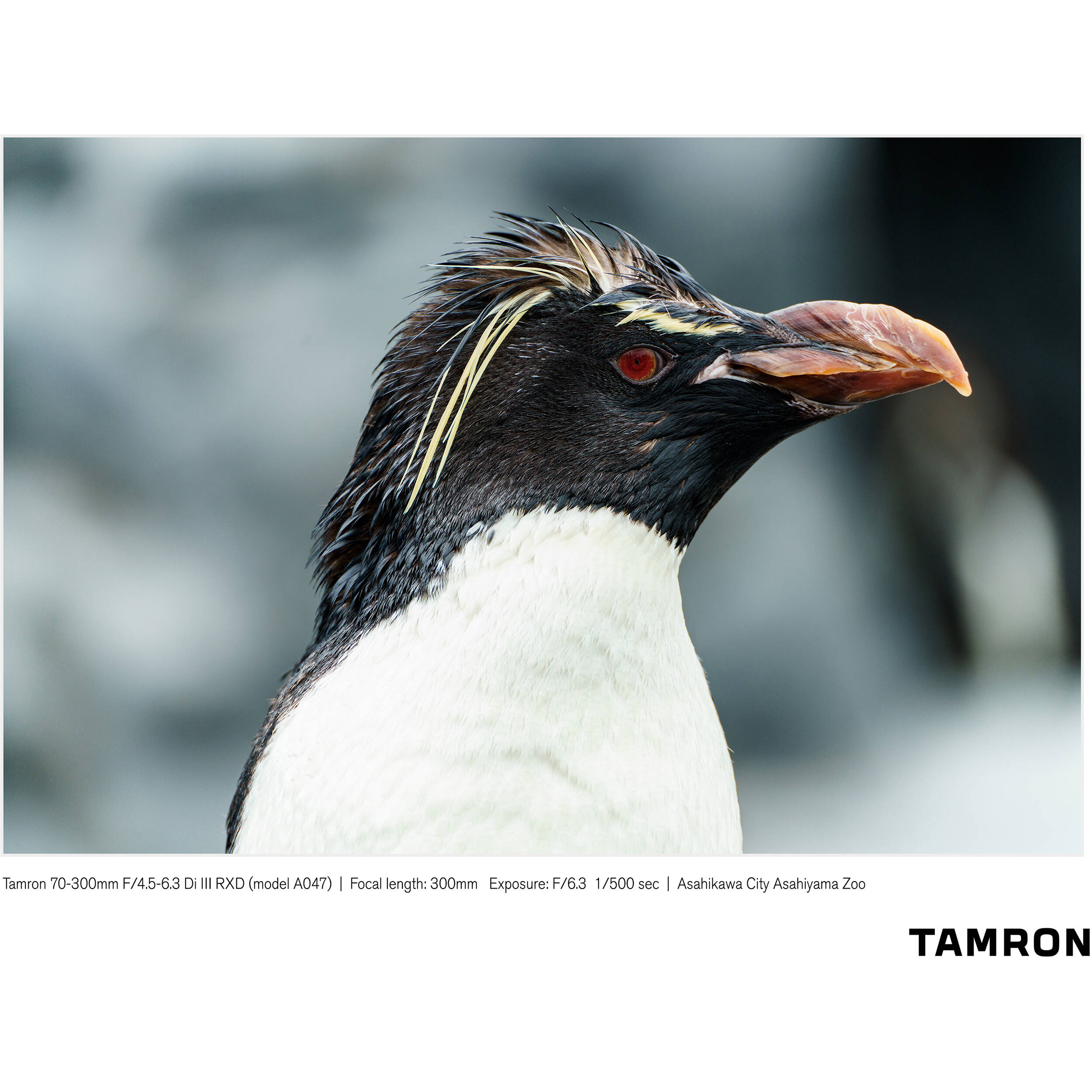 Tamron 70-300mm f/4.5-6.3 Di III RXD Objectif pour Sony E