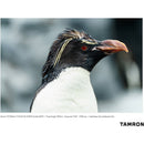 Tamron 70-300mm f/4.5-6.3 Di III RXD Objectif pour Sony E