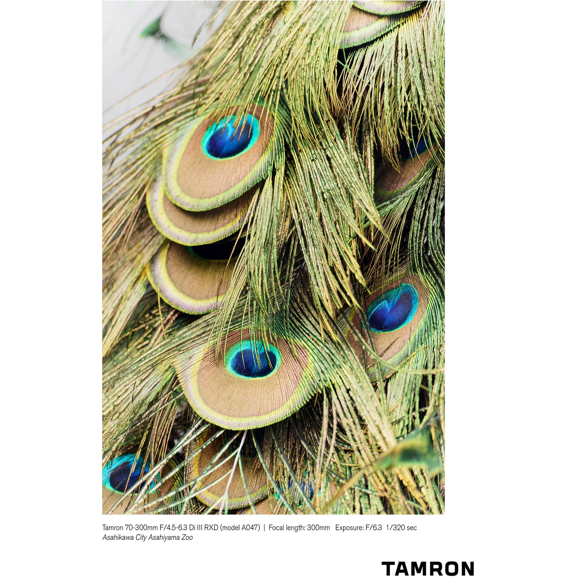 Tamron 70-300mm f/4.5-6.3 Di III RXD Objectif pour Sony E